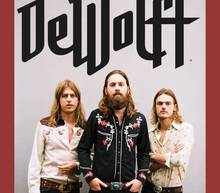 Poster dewolff