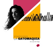 La gatomaquia