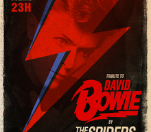 Spiders poster 29d18 la cat